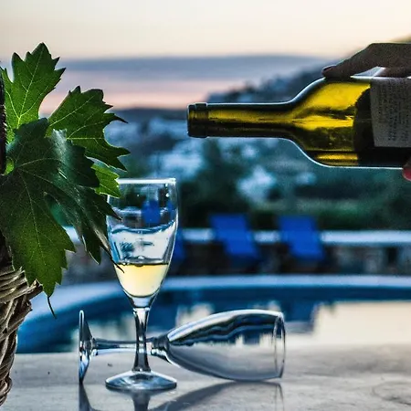 Anna Maria Mylopotas